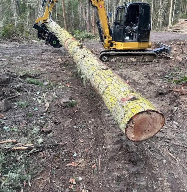 Excavator moving a felled log during land clearing by Holmes Earth Construction