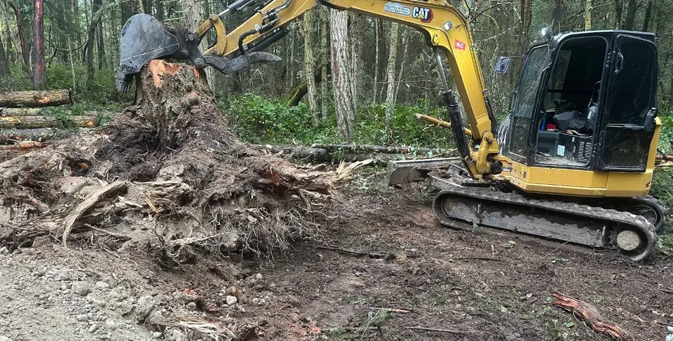 Excavator removing a large stump from the forest floor by Holmes Earth Construction